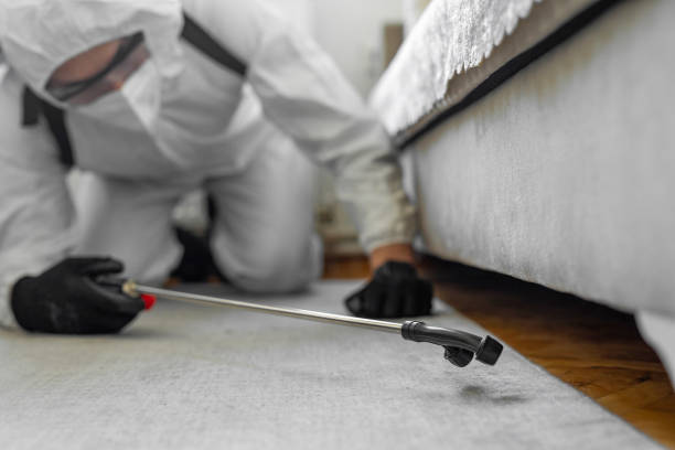 Professional Bed Bug Control technician working in Desert Aire, WA